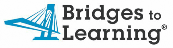 Bridges to Learning